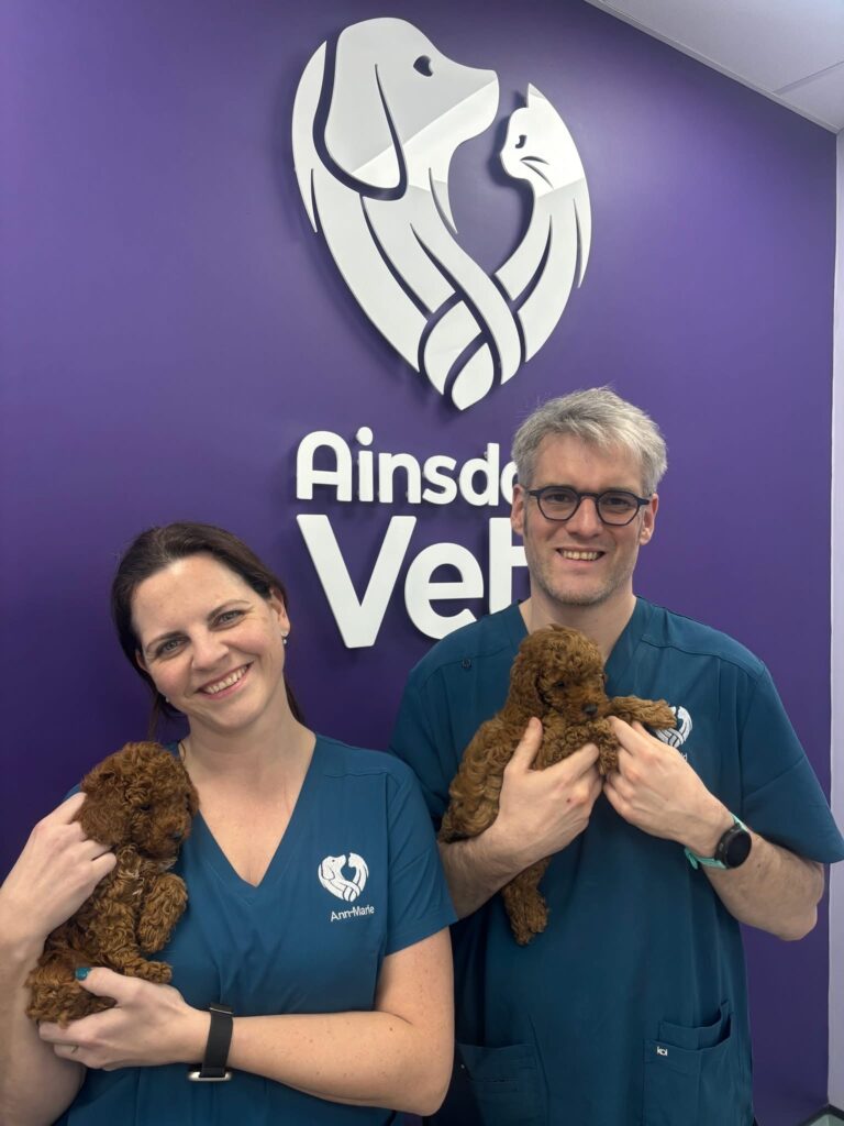 Ann-Marie and David hold two puppies
